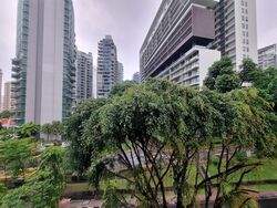 The Cairnhill (D9), Condominium #555762581